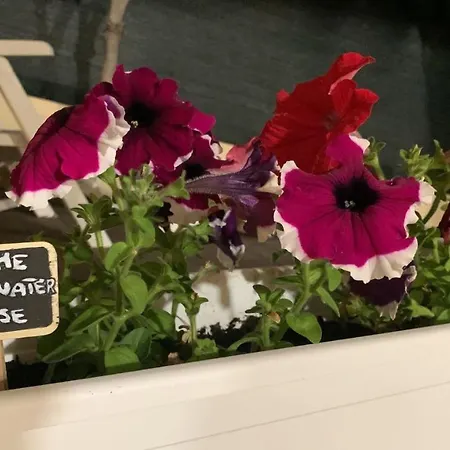 Casa Daniela - Kala & Moru Vakantiehuis