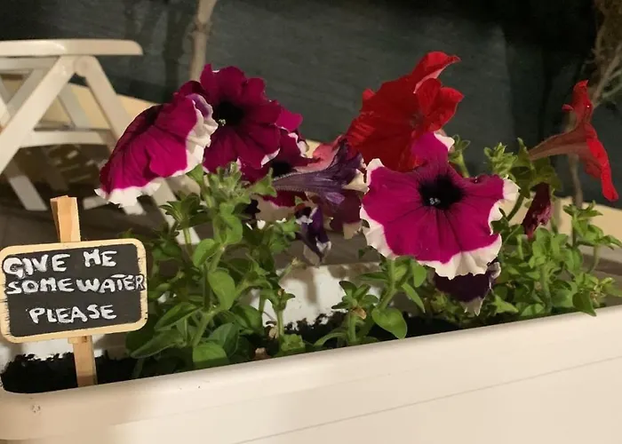 Casa Daniela - Kala & Moru 度假居